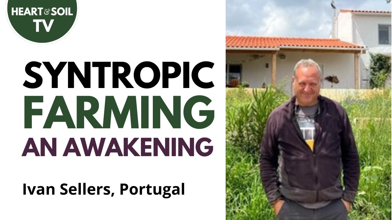 Syntropic Farming | Ivan Sellers, Horto do Amor, Portugal #naturalfarming #permaculture