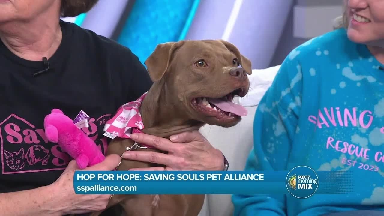 Hop For Hope fundraiser returns to support Saving Souls Pet Alliance