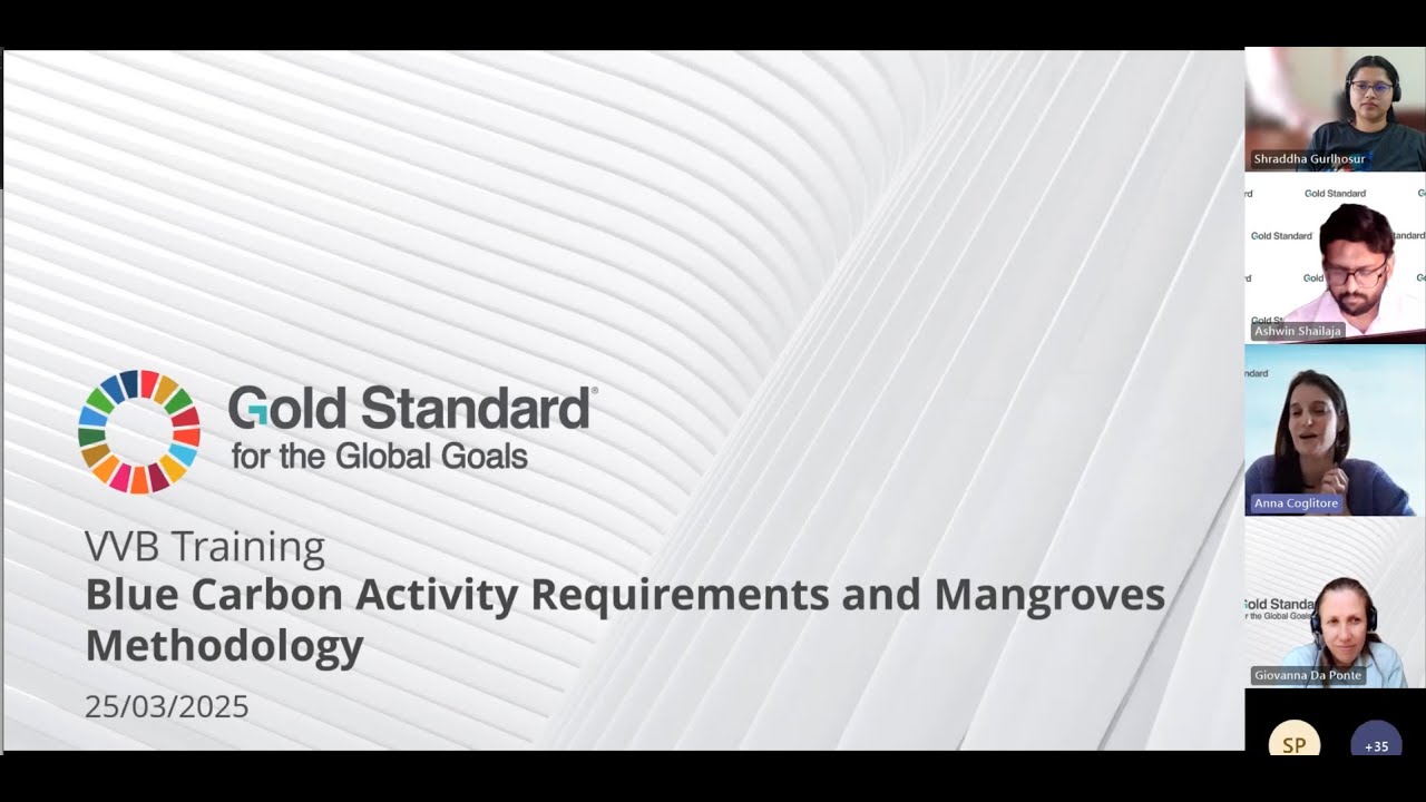 VVBs Webinar - Blue carbon Activity Requirements and Mangroves Methodology