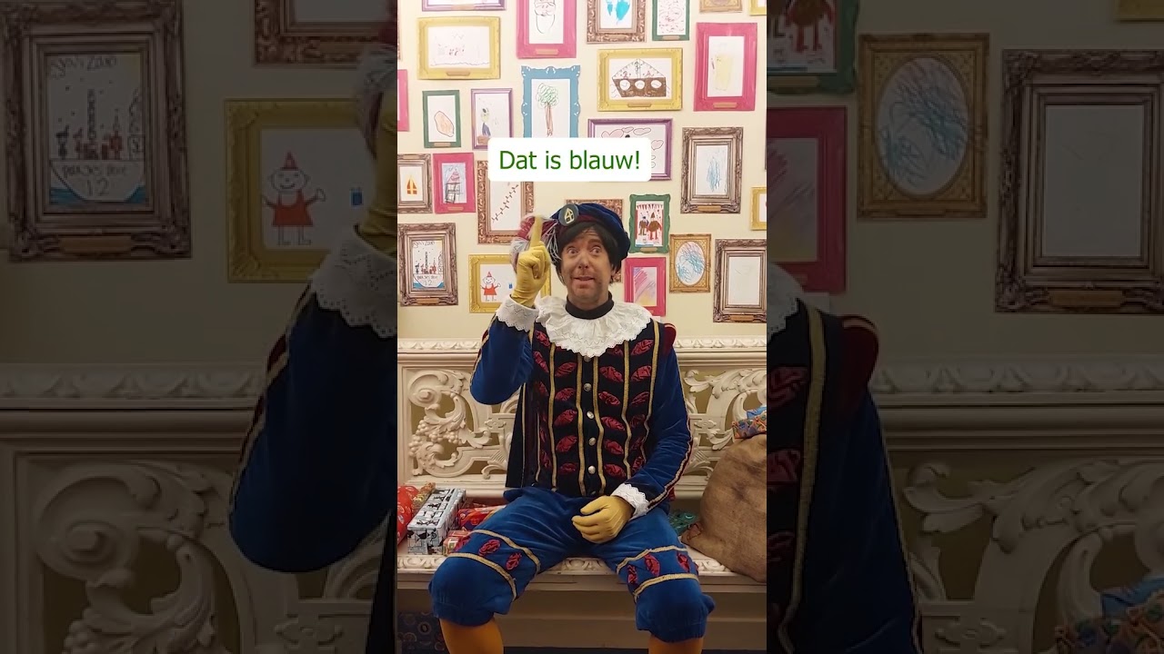 Drie vragen aan Hoofdpiet! #shorts #sinterklaasjournaal #npozappelin