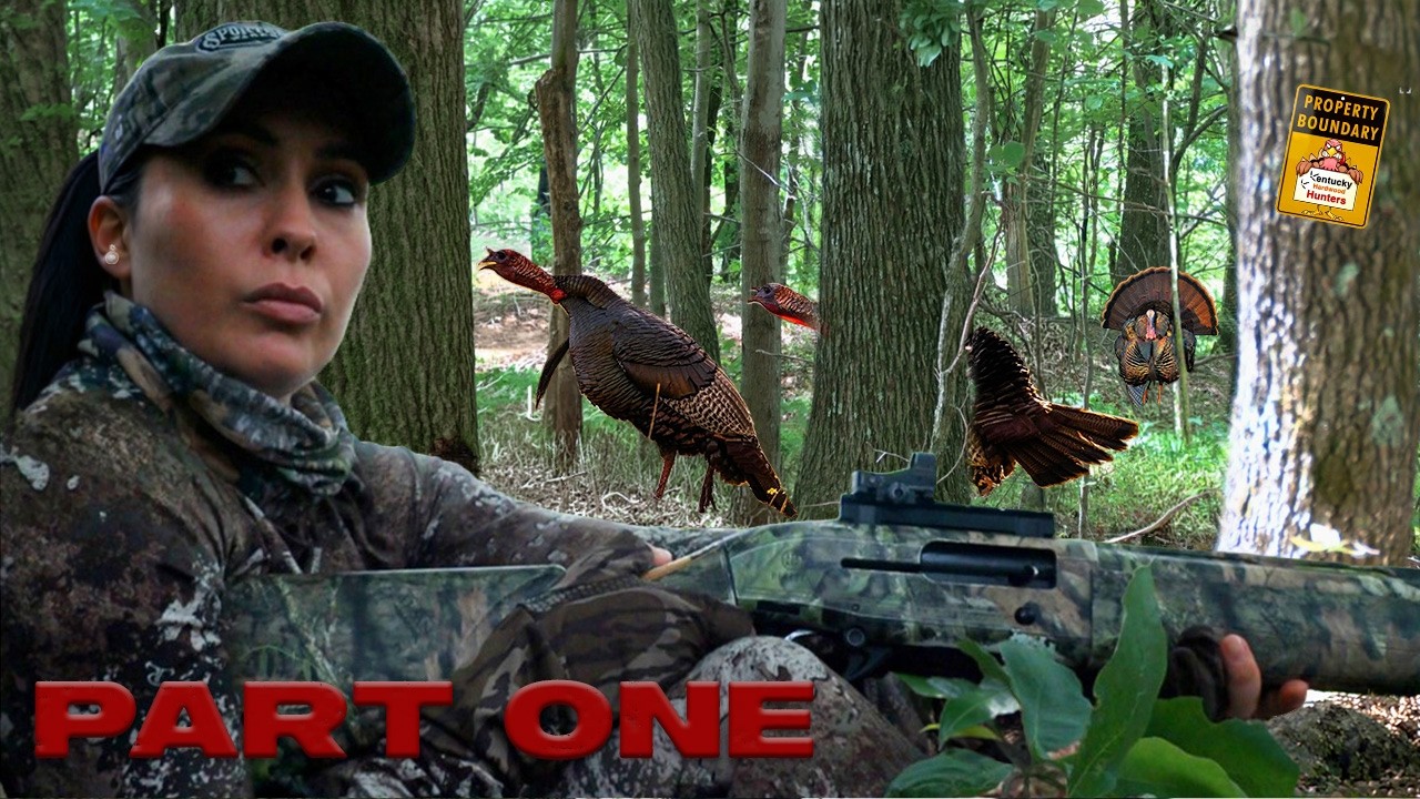 Surrounded By Hot Gobblers/ Spring Turkeys