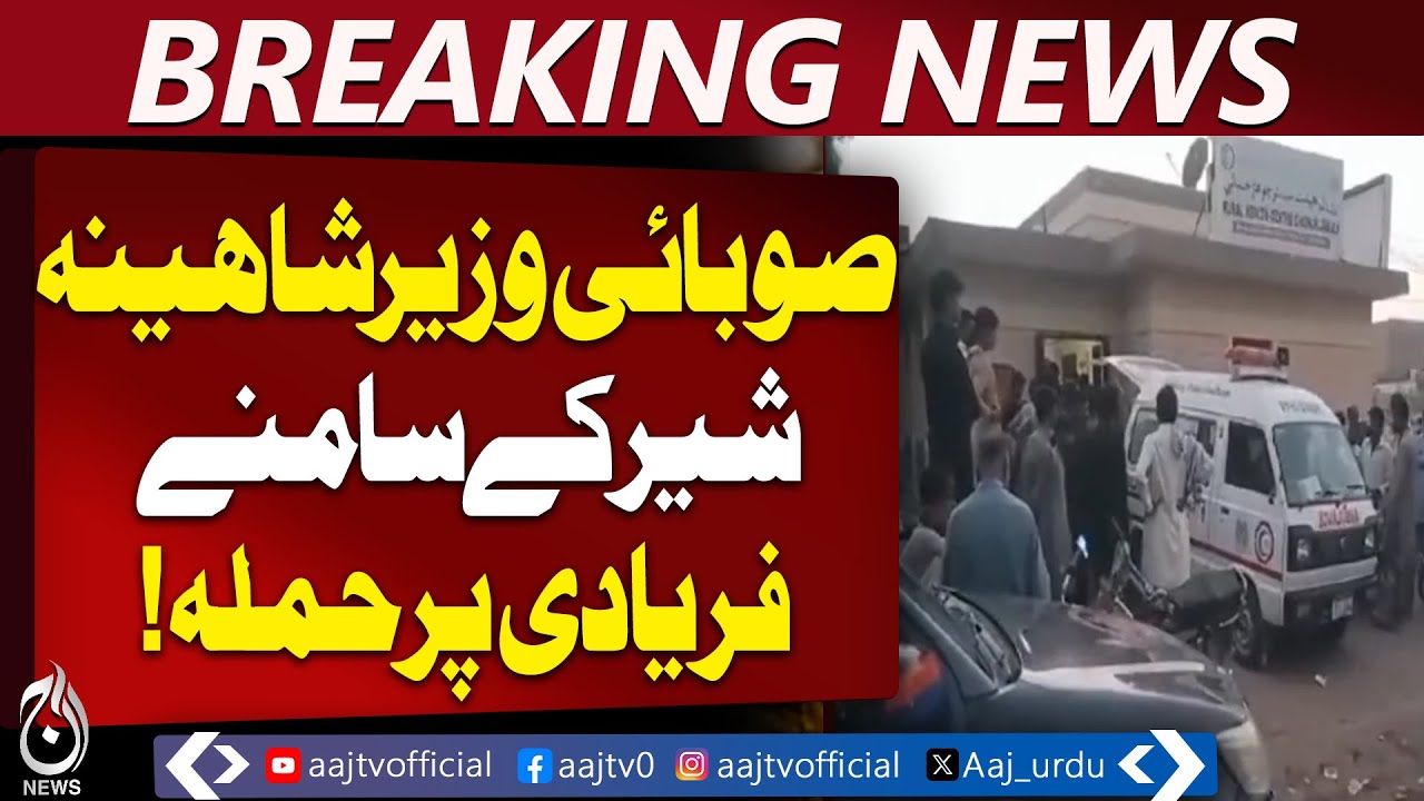 Sindh Sajawal Incident | Elderly Complaints Turn Violent | Land Dispute Update - Aaj Pakistan News