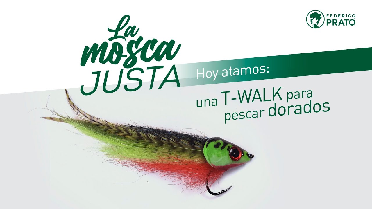 La Mosca Justa: T-Walk para pescar dorados
