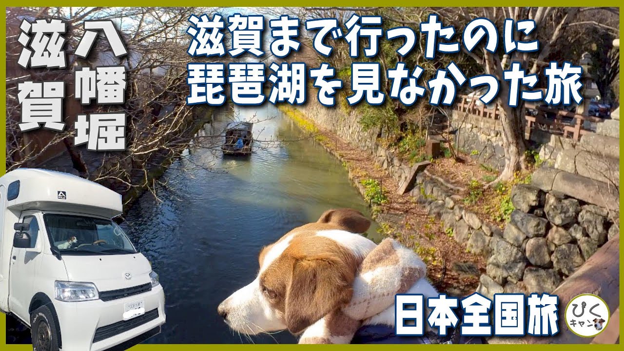 【滋賀旅②】ブラタモリの影響で近江八幡市でブラピクシー #滋賀県 #近江八幡 #八幡堀#アレン #車中泊