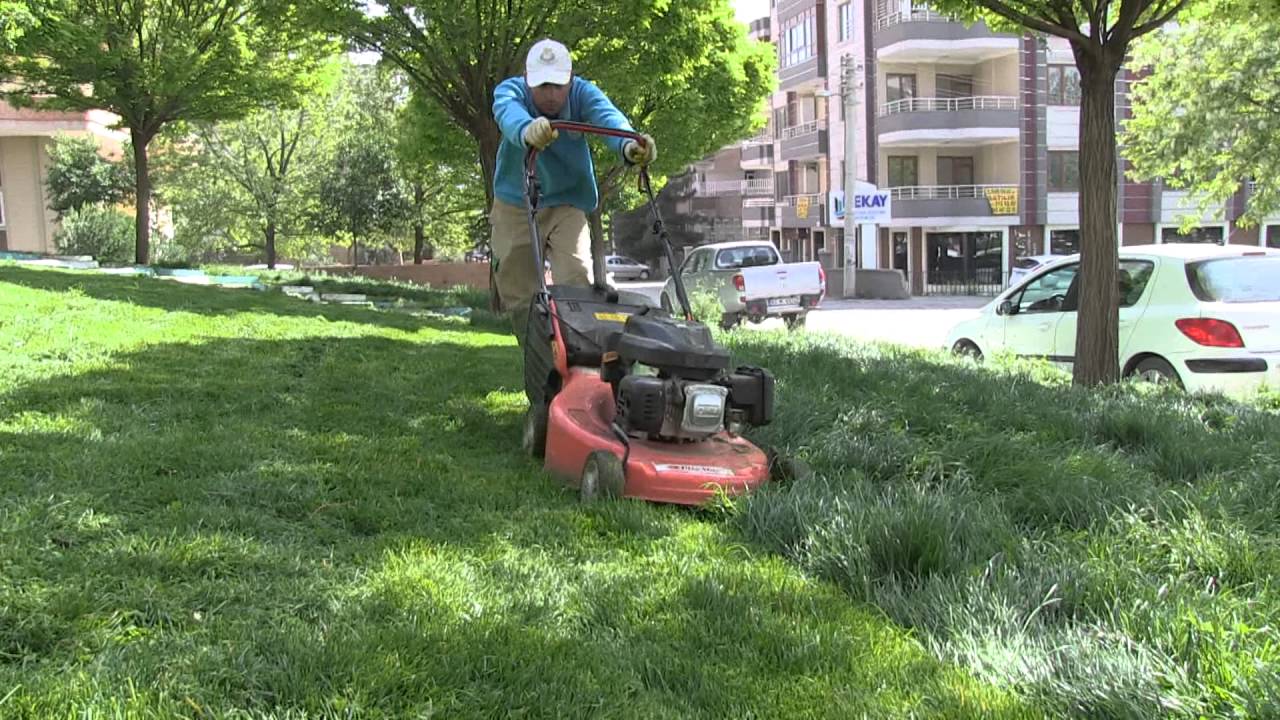 çim biçme