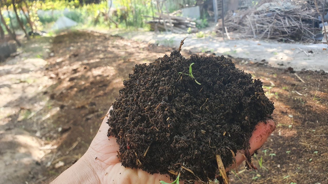 Диккат !!!  Сифатли Биогумус таййорлаш технологияси ва бизнес келажаги хакида.