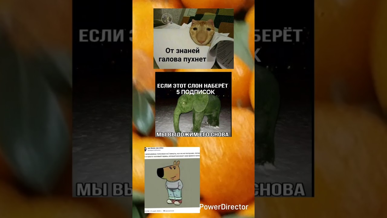 мем#822 #мем #смехпродлеваетжизнь #мемы #шуточное #memes #мемас #жиза #прикол #дуэт #юмор #рек #mem