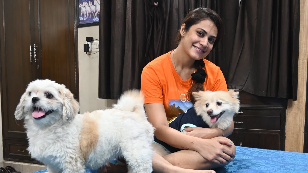 Humare dog ki hue tabyt kharab 🤢