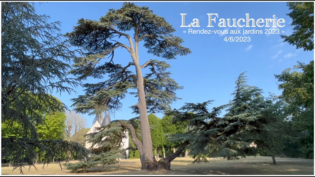 Château de LA FAUCHERIE, 