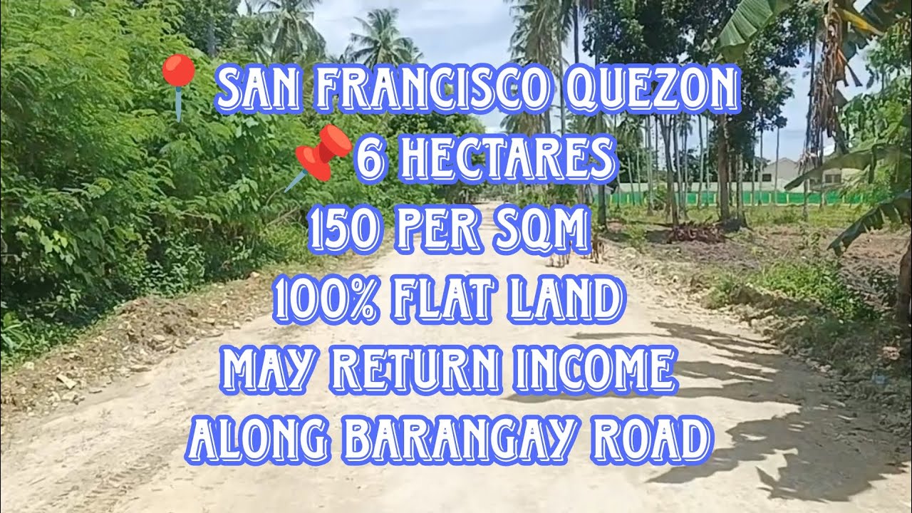 VLOG # 07: LOT FOR SAN FRANCISCO QUEZON/ 📌6 HECTARES/100% FLAT LAND/❗MAY RETURN INCOME❗.