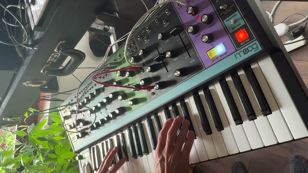 Moog Matriarch Ambient Patch #2 featuring Mutable Instruments Beads and Crush Delay