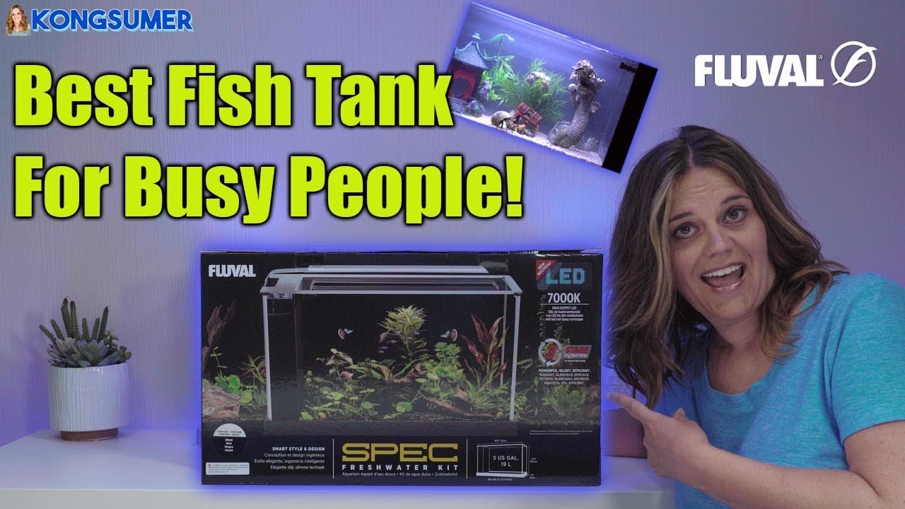 Best Silent Fish Tank for Busy People! Fluval Spec V Review Close Up in 4K!