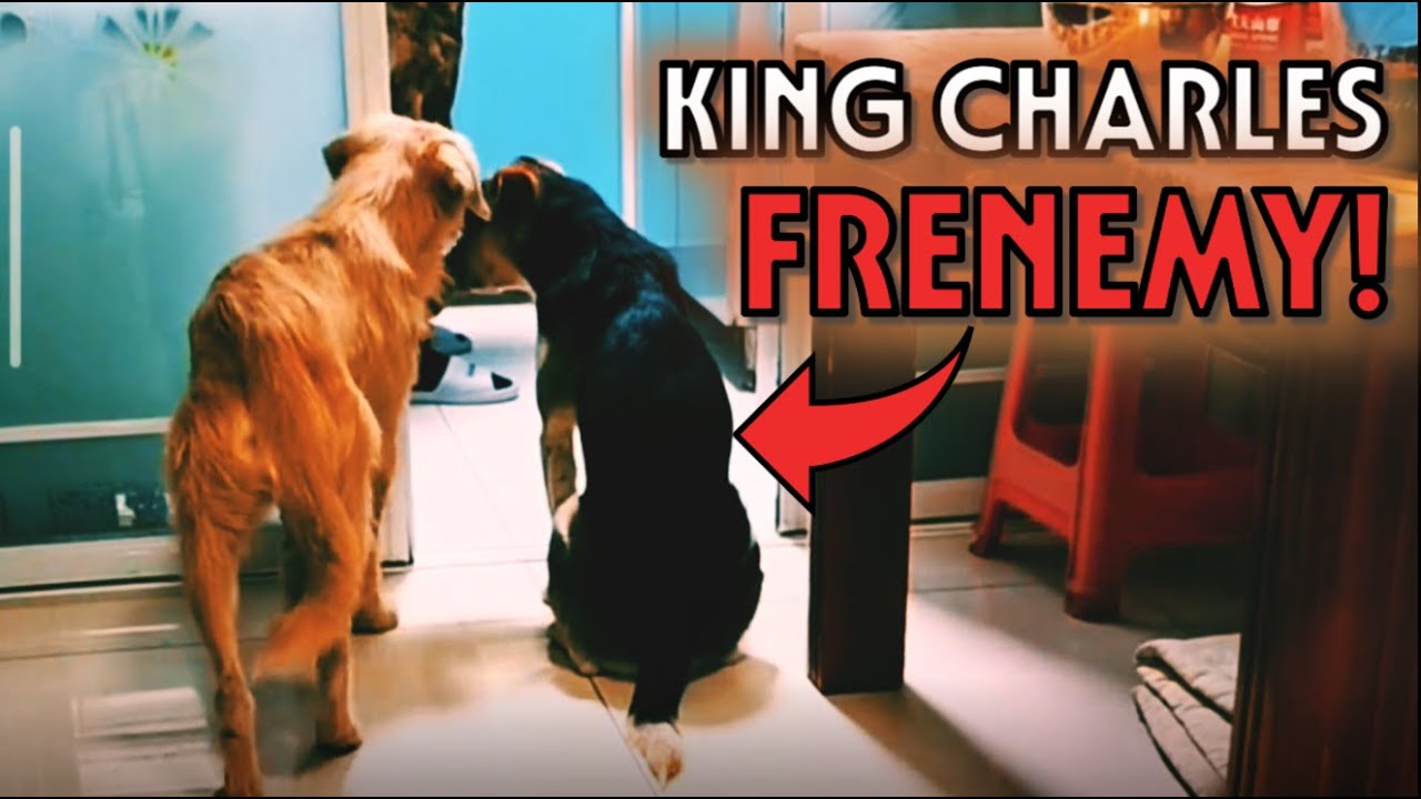 The Toxic Sidekick: Why King Charles Keeps His Enemies Closer.