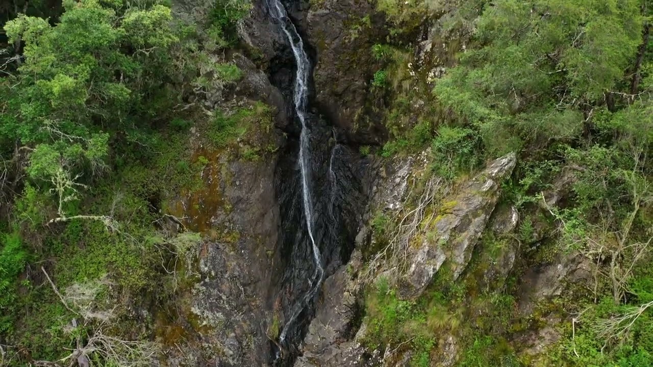 Biriwal Bulga National Park M2P