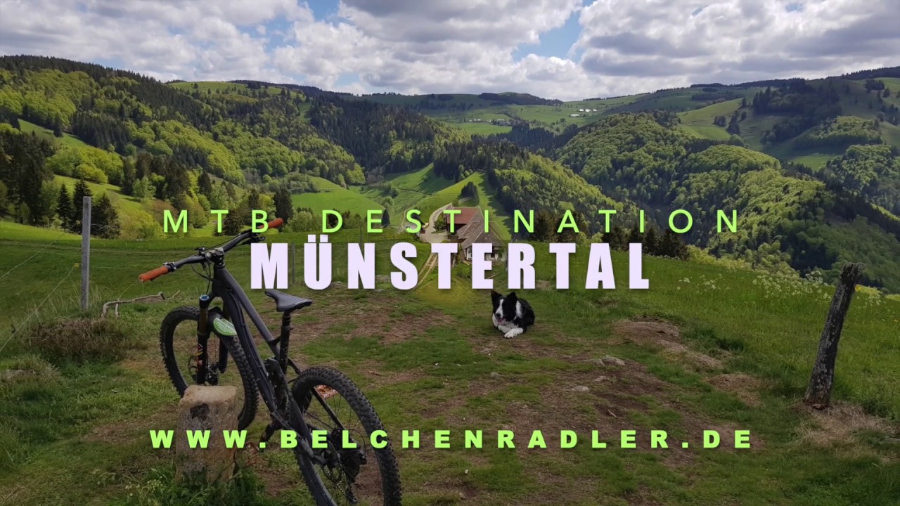 MTB Destiantion Schwarzwald - M&uuml;nstertal