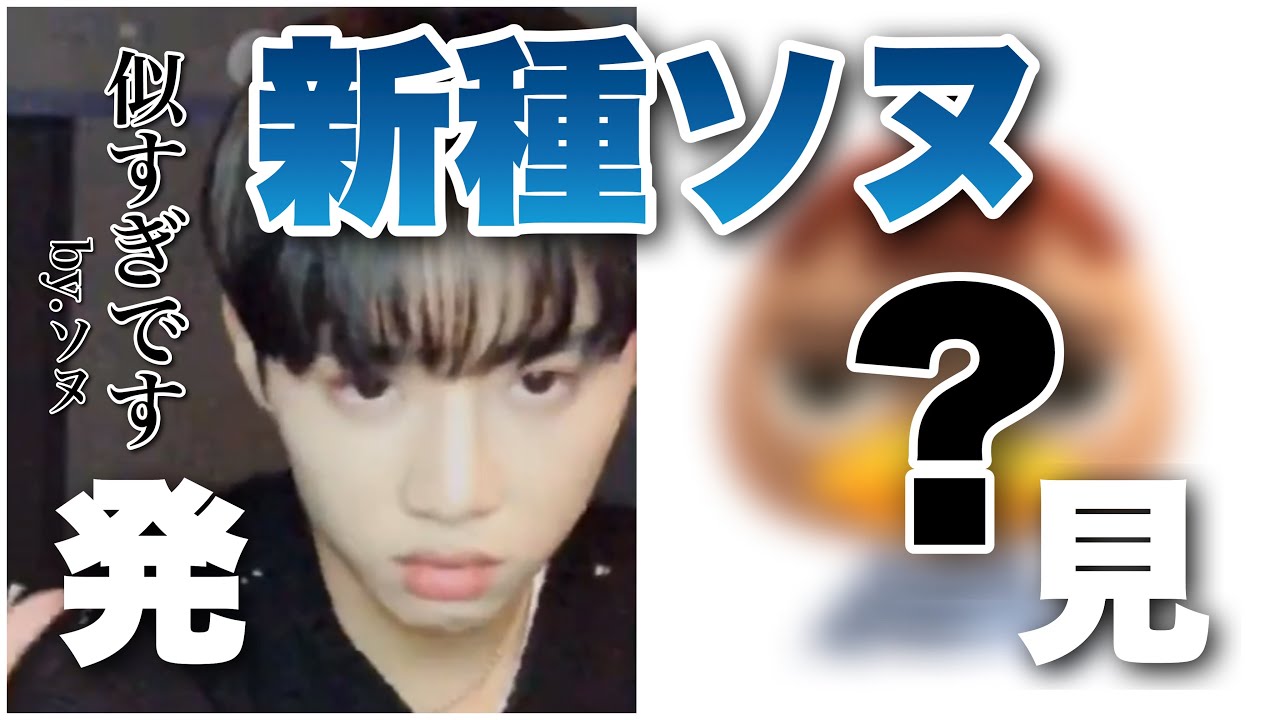 〖番外編〗ソヌの分身説 【THEBOYZ/ドボイズ/日本語字幕】
