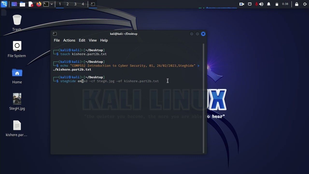 How to Hide a Text file Inside an Image file Using Steghide Tool