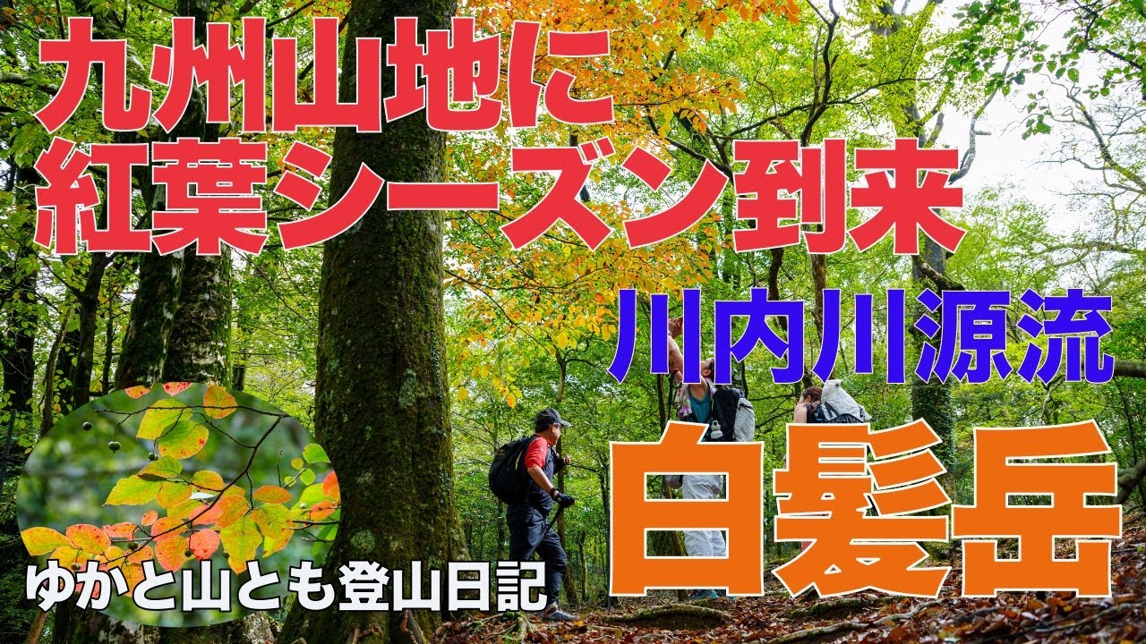 【九州山地に紅葉シーズン到来！】川内川源流 白髪岳（九州百名山）