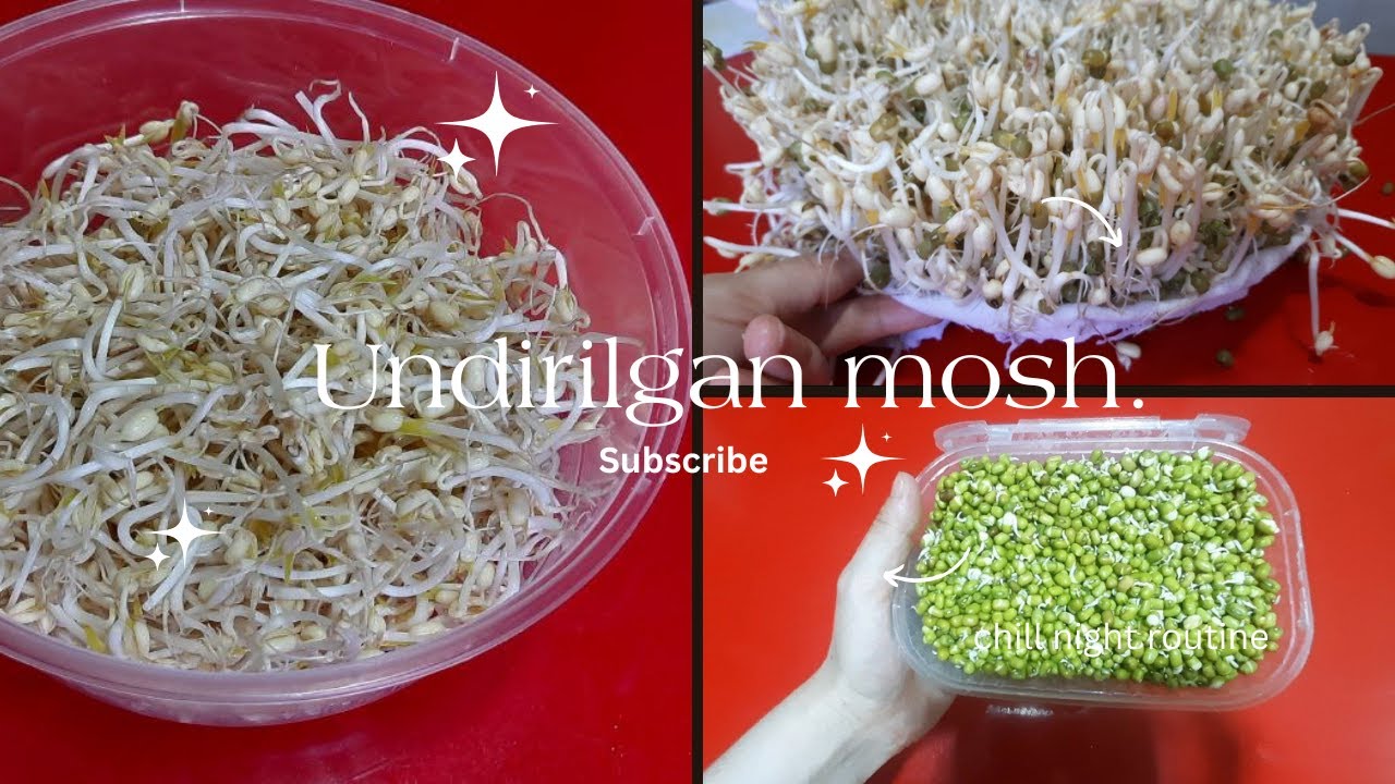 Undirilgan mosh. To'liq tushuntirishlar bilan