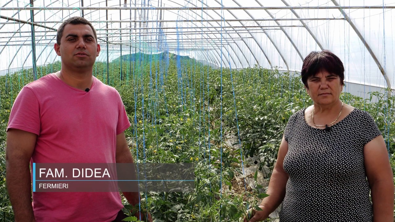 Interviu Didea Ionut Delfan Plus Chemark Rom