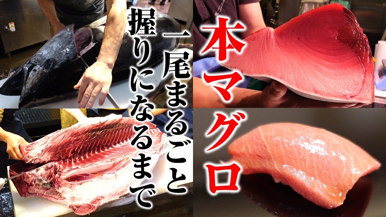 【豊洲市場 結乃花】本マグロが丸ごと1本から握りになるまで密着！