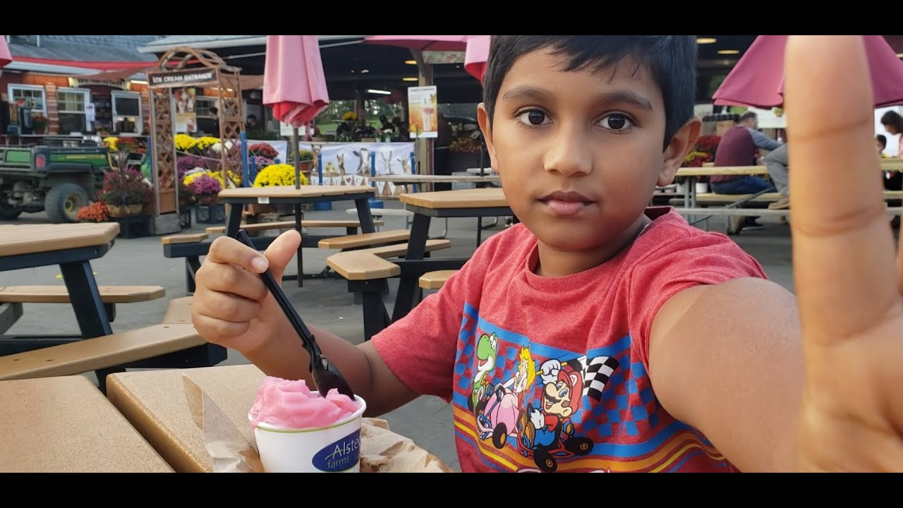 Alstede Farms, NJ - Farm animals, getting ice cream, pie, apple cider donuts and apple cider 2023