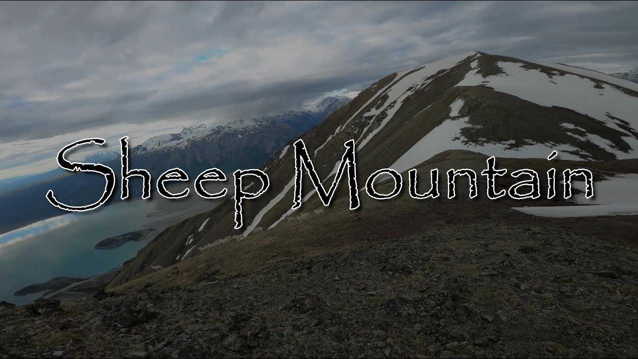 Sheep Mountain | Kluane National Park, Yukon Territory