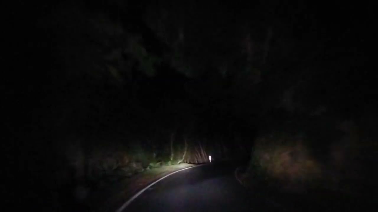 🇳🇿 Forest Country Drive 61 Return - Akatarawa Road Rambles