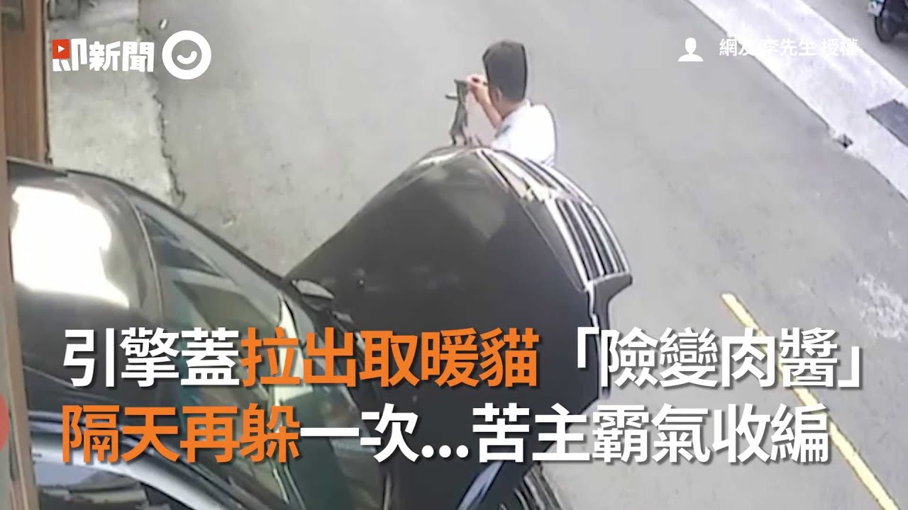 流浪奶貓連2天躲引擎蓋取暖！車主暖心收編｜寵物動物｜貓咪｜浪浪｜精華影片