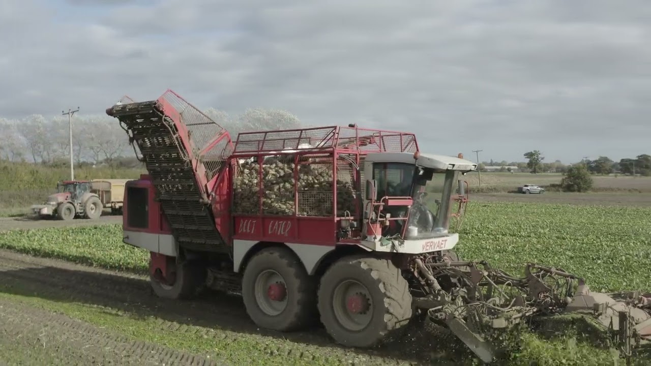 Harvesting sugar beet drone footage of Vervaet Evo 625 Beet Eater