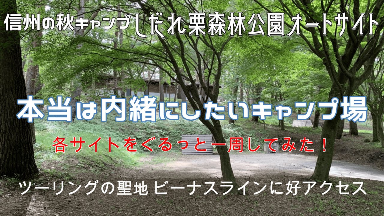 【おすすめキャンプ場】本当は内緒にしたい穴場キャンプ場 長野県の秋キャンプはココ！ しだれ栗森林公園オートキャンプサイト, ビーナスラインツーリングにも好アクセス