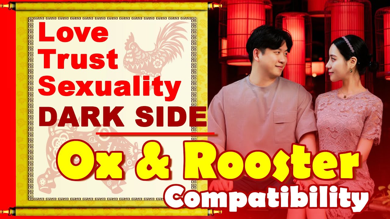 Ox and Rooster Compatibility in Love Life, Trust, Intimacy | Ox-Rooster Chinese Zodiac Compatibility