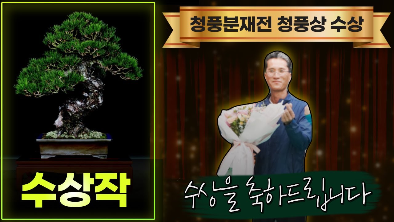 2021년 제17회 청풍분재전 (ft. 청풍상)