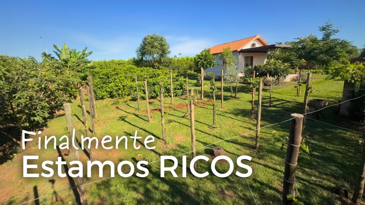 O Novo MILHÃO Não é Dinheiro