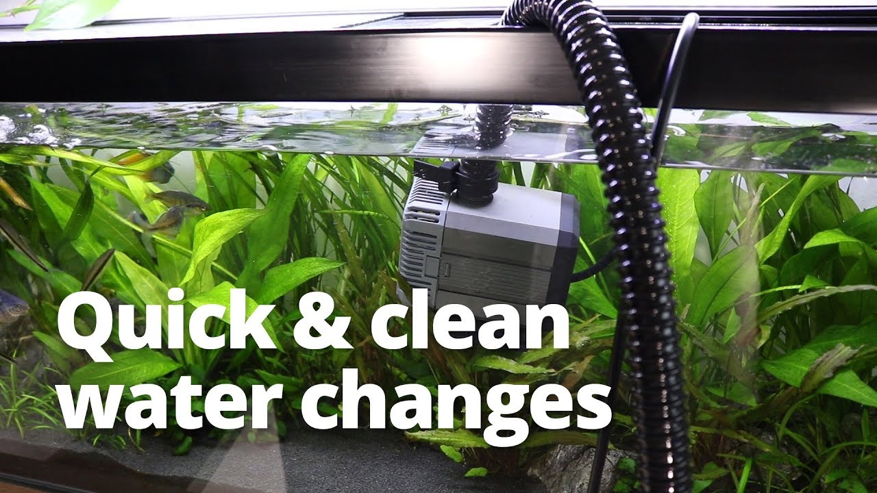 Quick and easy water changes using a pond pump