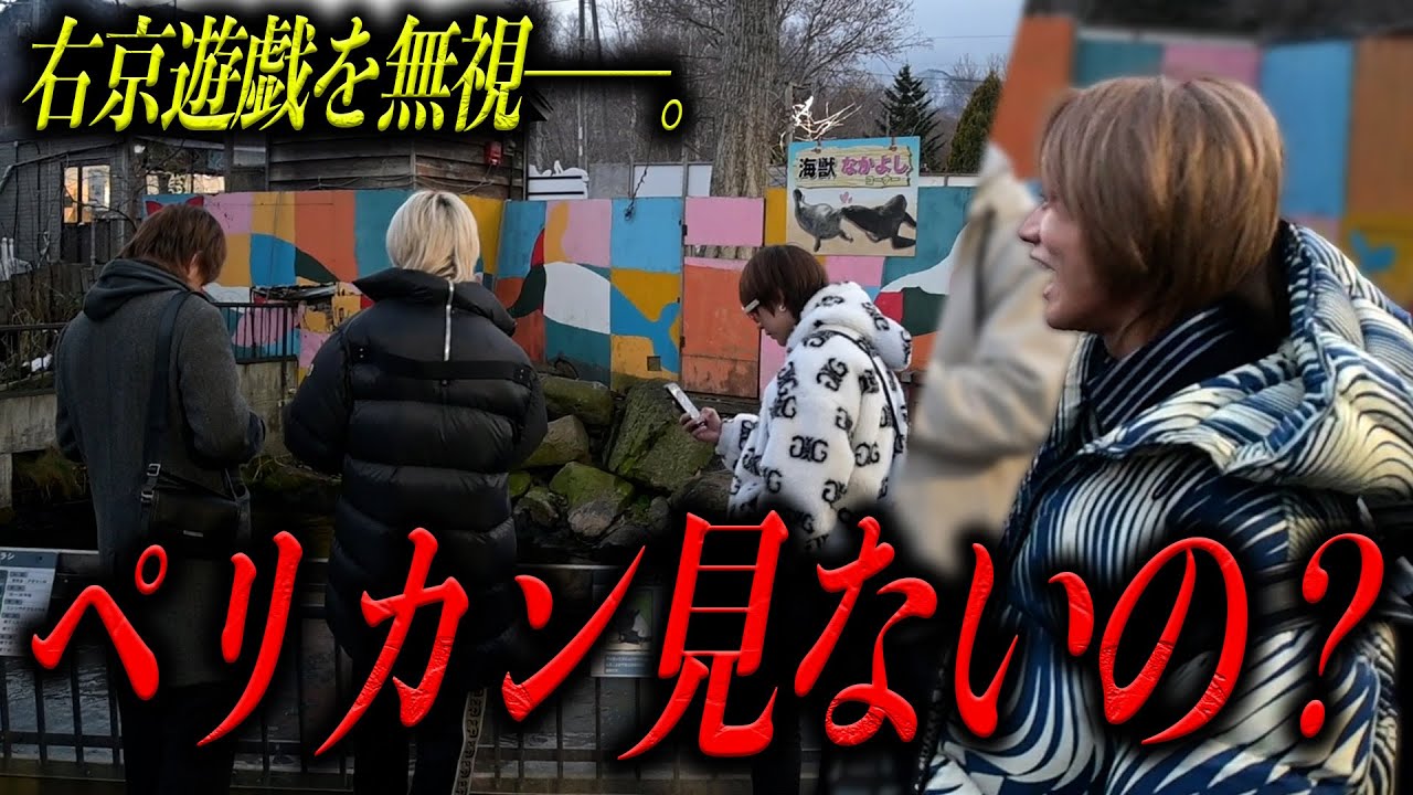 【サブチャン】2泊3日の北海道旅行で右京遊戯の愛しの動物発見!?しかしVALHALLAの幹部たちは見向きもしなかった──。