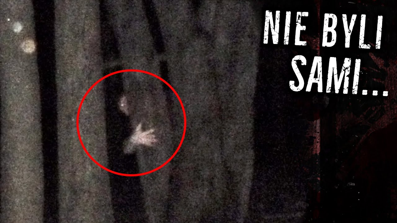 Nocny spacer do lasu... | Paranormalne Nagrania 117