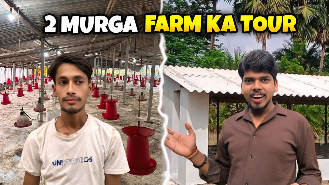 मेरा दो मुर्गा फर्म का पूरा टूर | कितना बड़ा है मेरा फार्म ? | Chicken Farm Vlog 😱