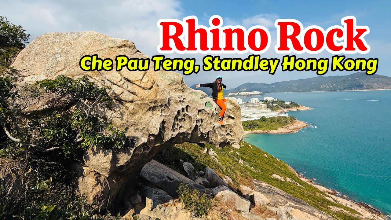 RHINO ROCK в Che Pau Teng Standley, Гонконг