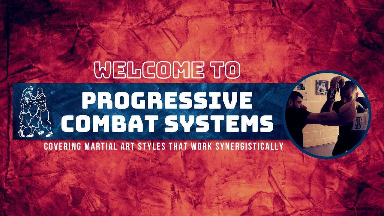 Progressive Combat Systems - Martial Art Styles Overview