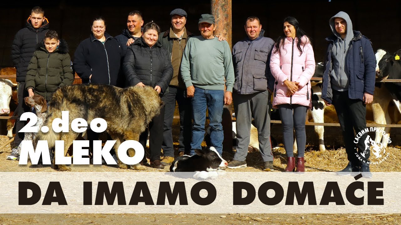 SASVIM PRIRODNO: Mleko - da imamo domaće 2. deo