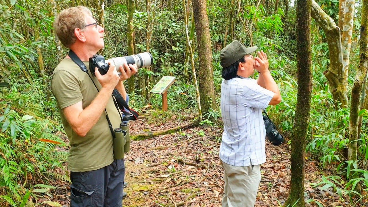 Discover Bach Ma National Park with the Amazing Birding Tour Guide 🐦🌳 | Real Vietnam Wildlife in 4K