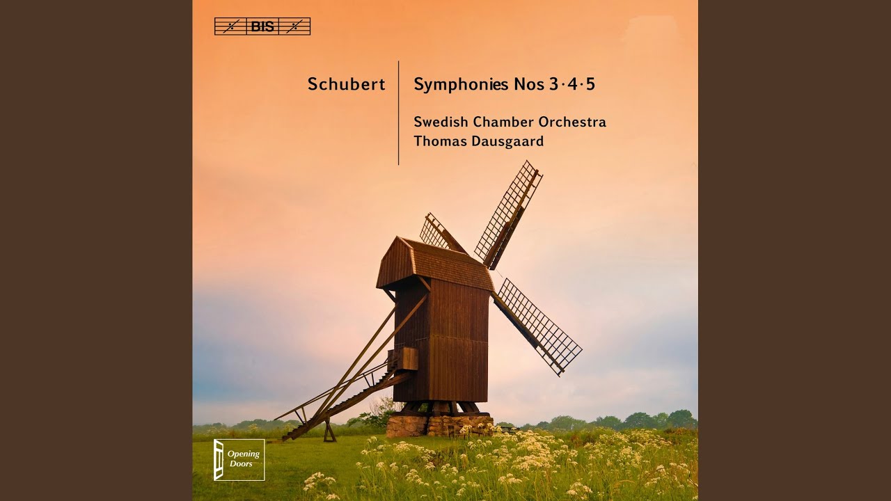 Symphony No. 5 in B-Flat Major, D. 485: IV. Allegro vivace