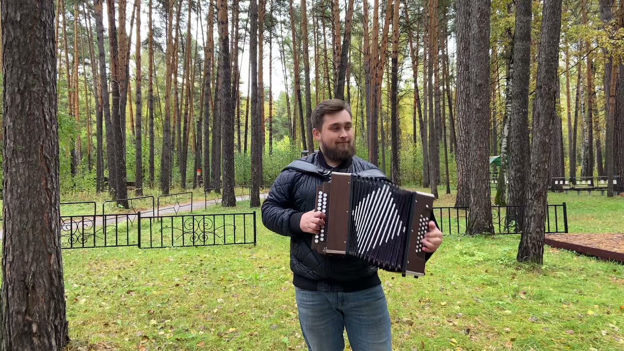Гармонист на природе, Вячеслав Агеев, импровизация, наигрыши. Ансамбль «Сибиряки».