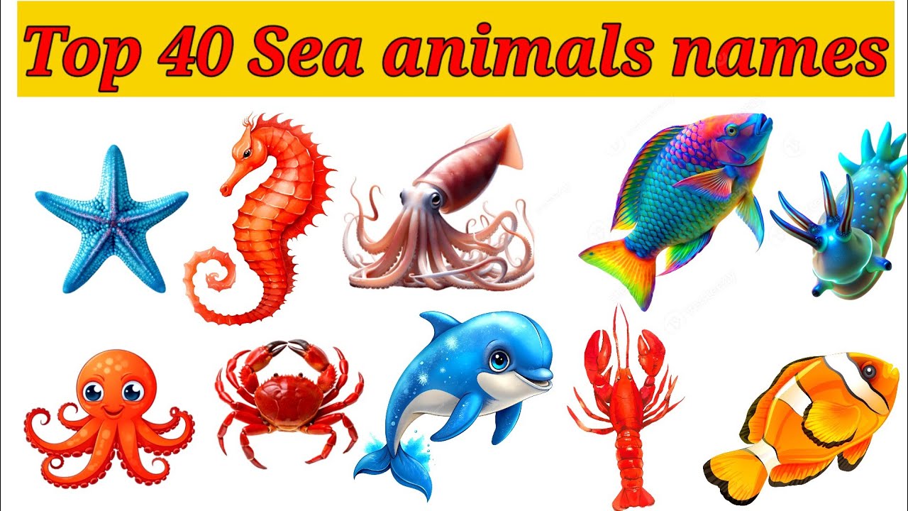 40 Ocean Animals and Reptiles for Children | Sea Creatures, Snakes, Turtles Learning Video 