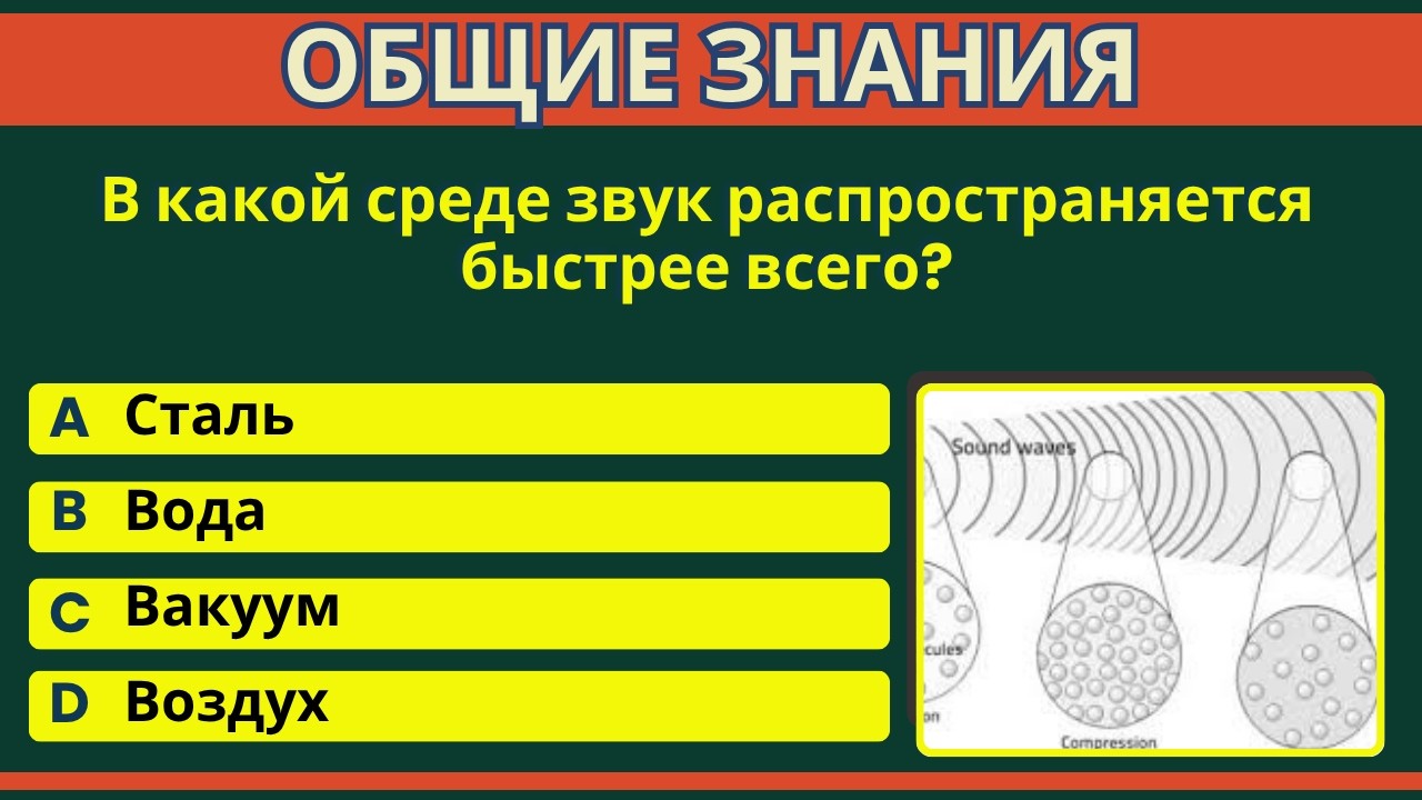 Тест на эрудицию и общие знания | ГК | ОБЩИЕ ЗНАНИЯ | IQ-ТЕСТ #ОБЩИЕ ЗНАНИЯ