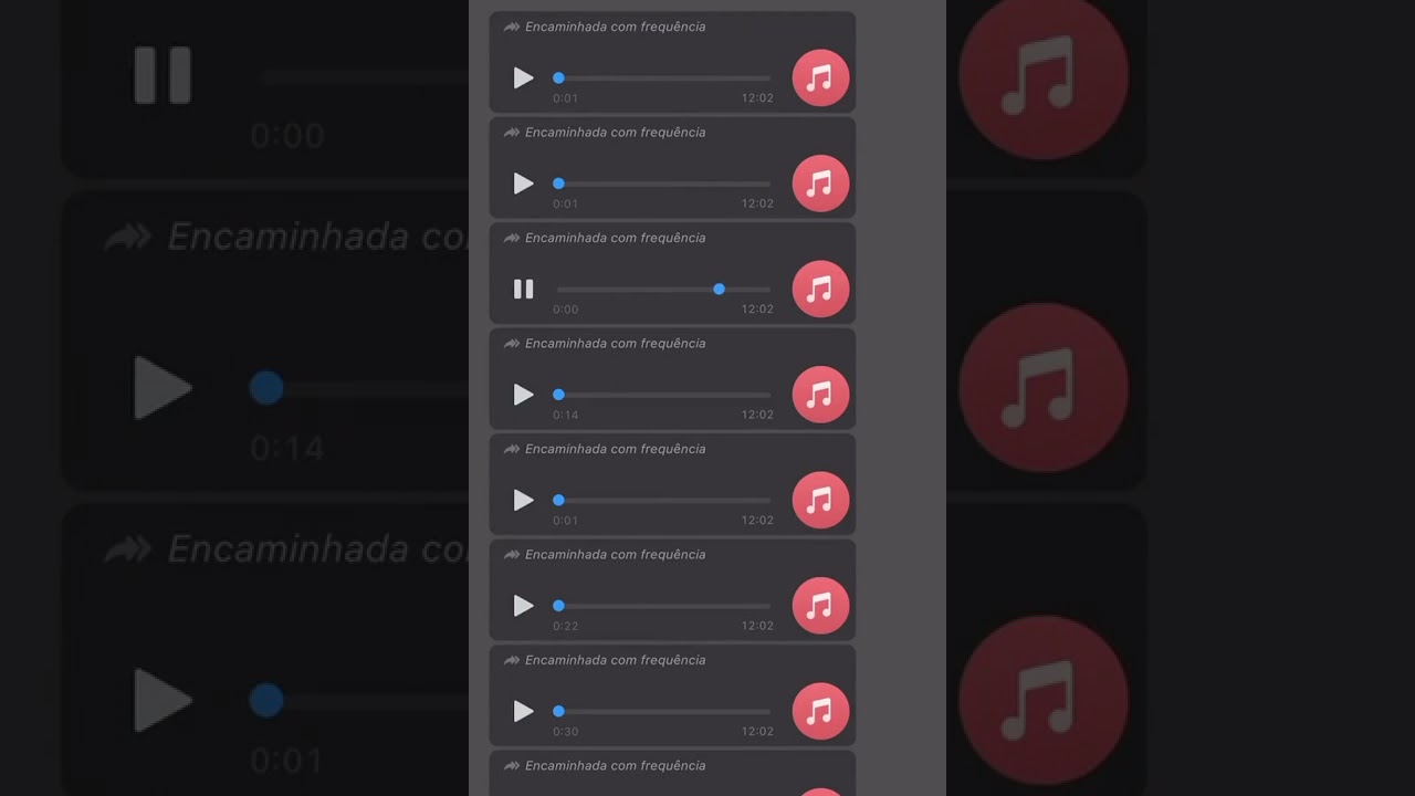 Bem-te-vi irritando uma velha KKKK
