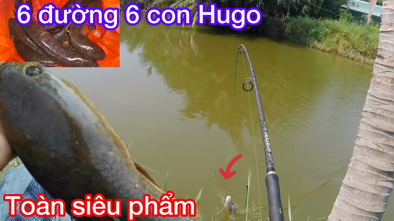 khai cần chạm trán toàn hugo,đứng một chỗ 6 con hugo\thư giãn dân dã