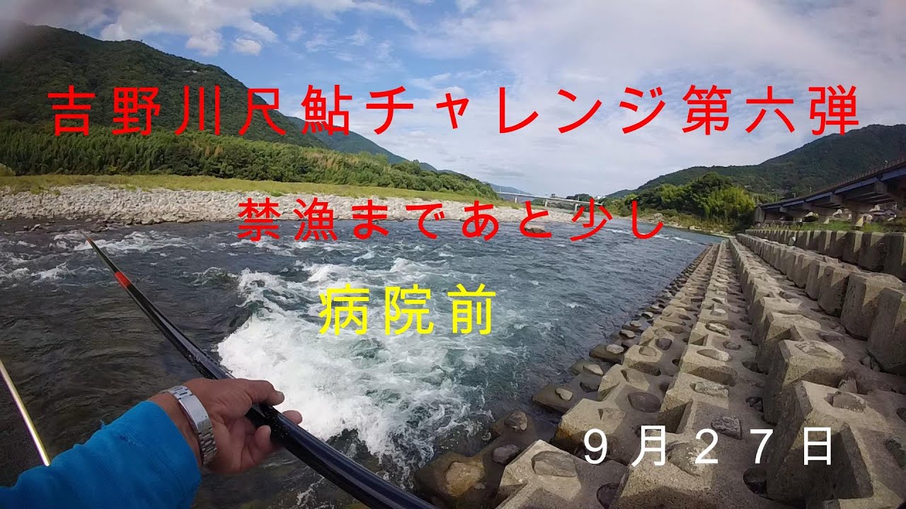 吉野川尺鮎チャレンジ第六弾（病院前）