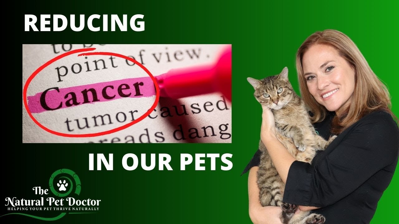 Preventing Cancer in Dogs and Cats - ( Top 3 Tips ) with Dr. Katie Woodley - The Natural Pet Doctor